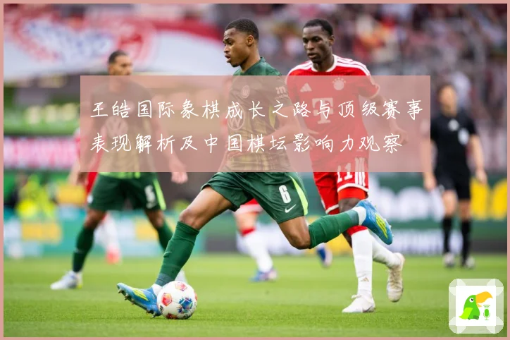 王皓国际象棋成长之路与顶级赛事表现解析及中国棋坛影响力观察