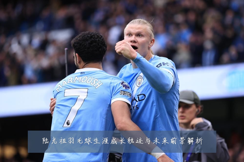 陆光祖羽毛球生涯成长轨迹与未来前景解析