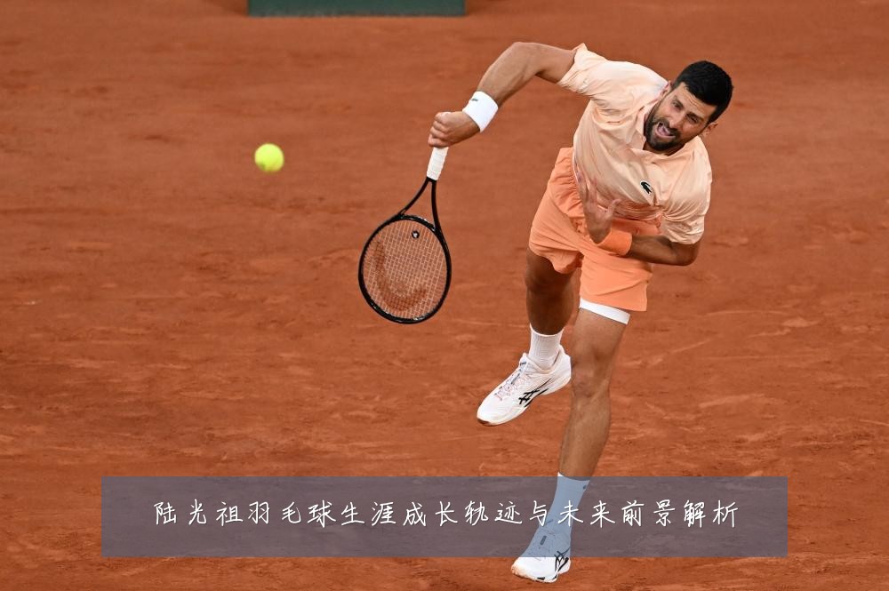 陆光祖羽毛球生涯成长轨迹与未来前景解析